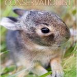 Missouri Conservationist Magazine