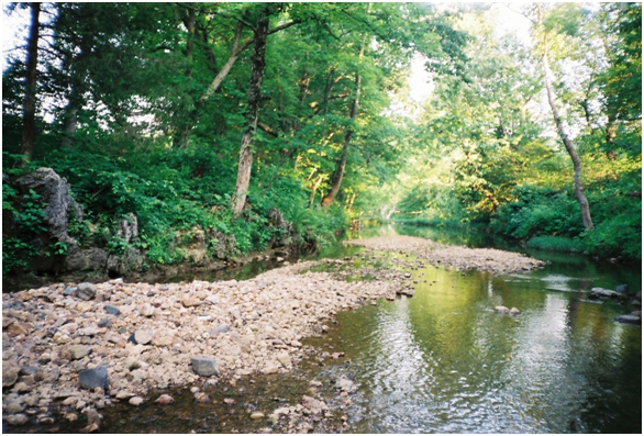 View of Creek